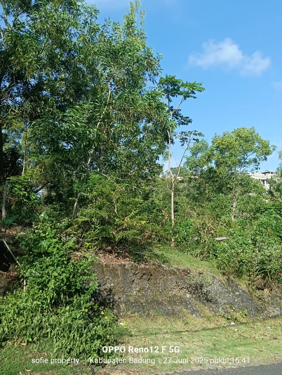 Leasehold Land in Padang-Padang