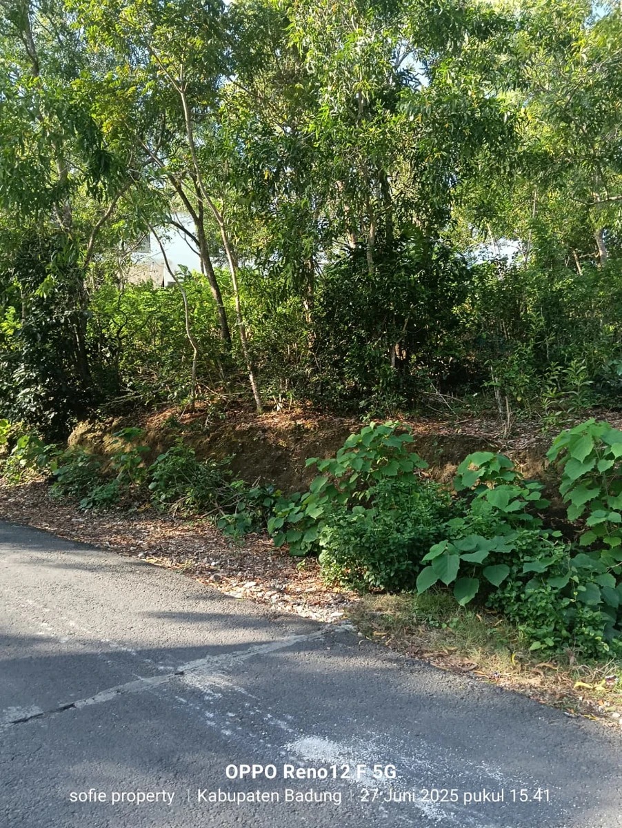 Leasehold Land in Padang-Padang