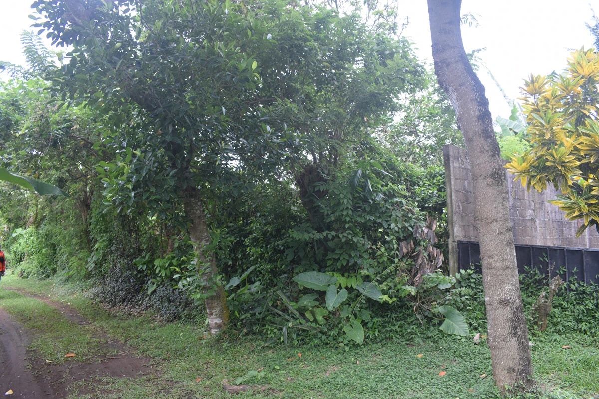 YEH GANGGA, 1410m² Oceanfront Gem
