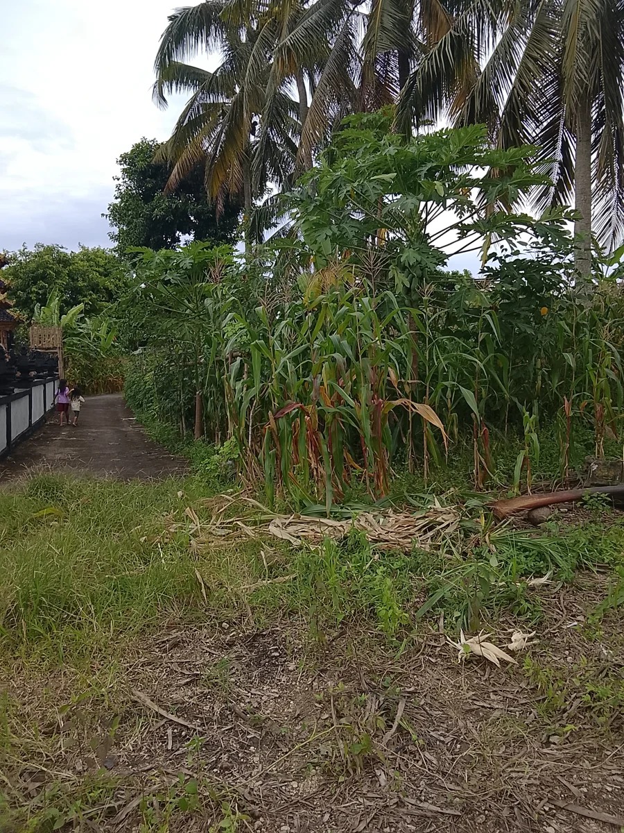 60 Are Leasehold Land – Hill View