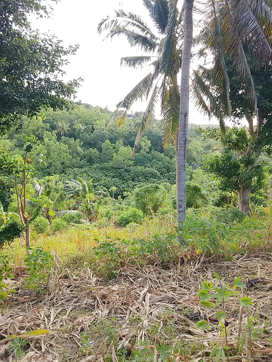 60 Are Leasehold Land – Hill View