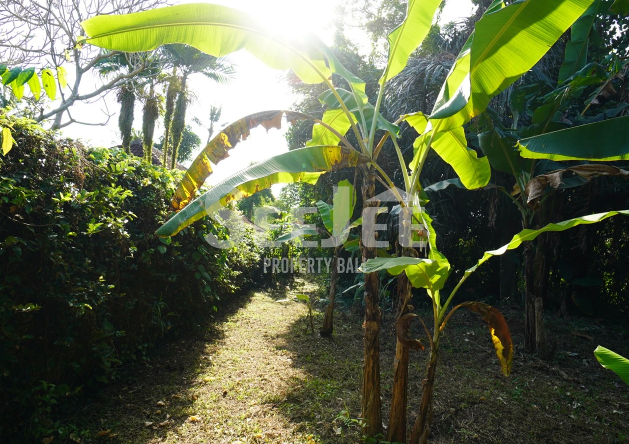 RIVERSIDE FREEHOLD IN KABA-KABA 