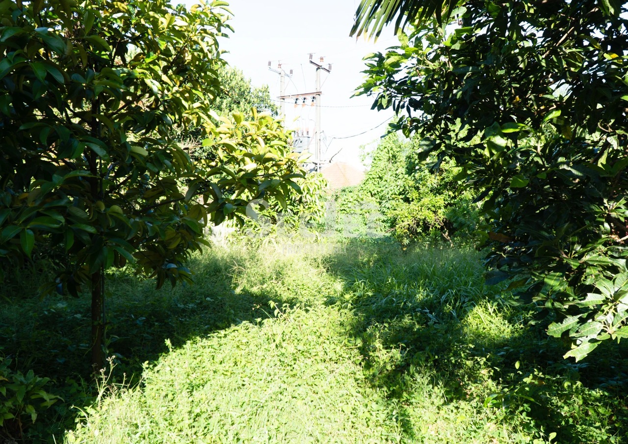 FREEHOLD LAND IN TANGEB-38are