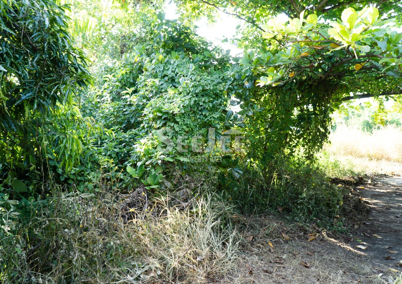 FREEHOLD LAND IN TANGEB-38are