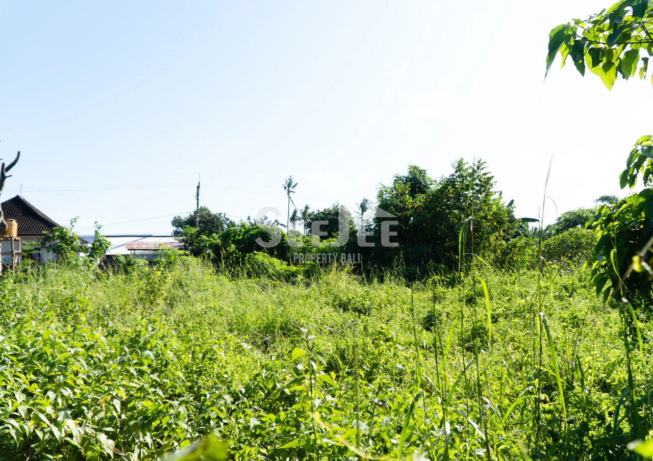 FREEHOLD LAND IN TANGEB-38are