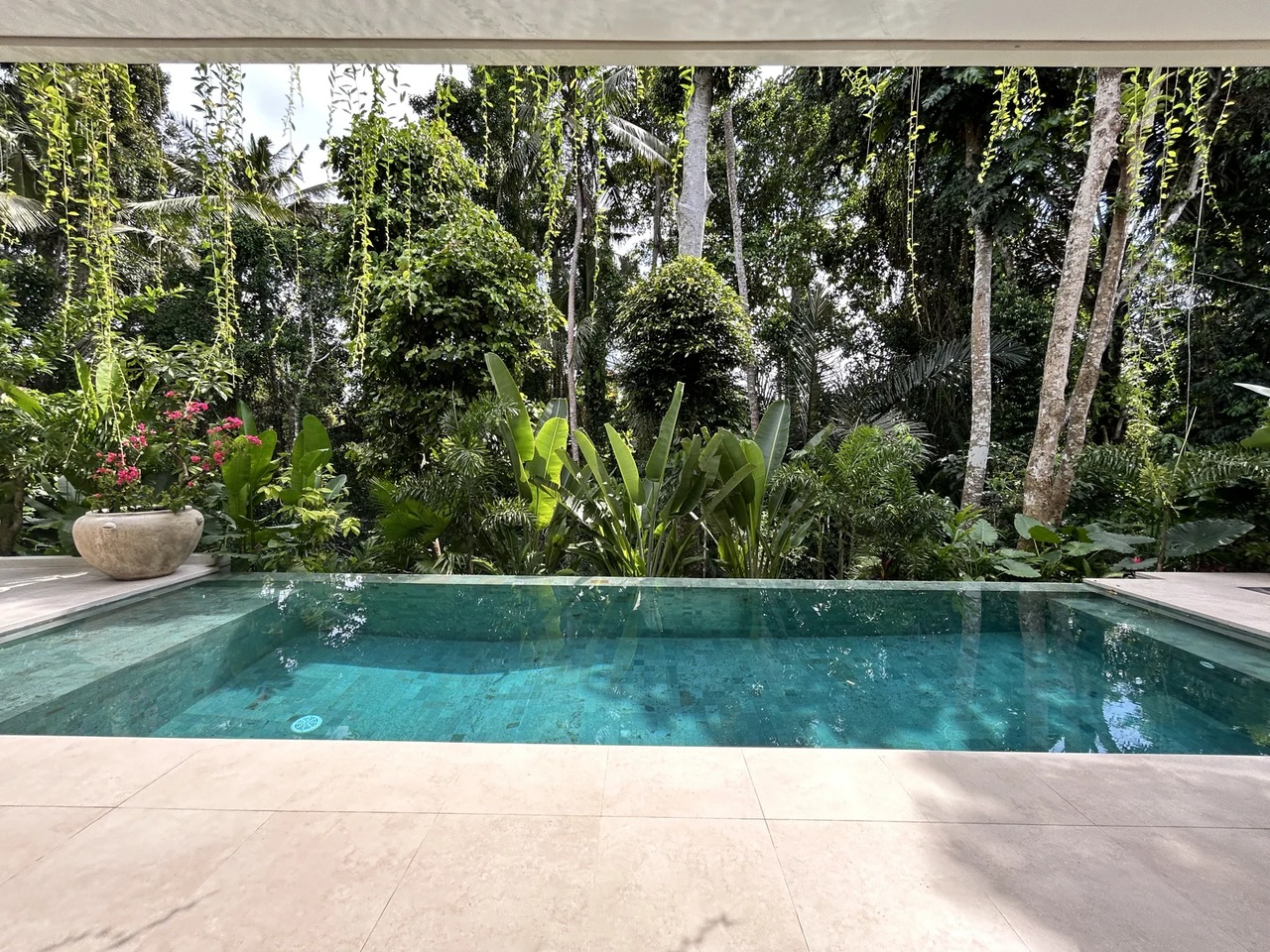  Modern Villa w/ Sunset & Jungle Forest 