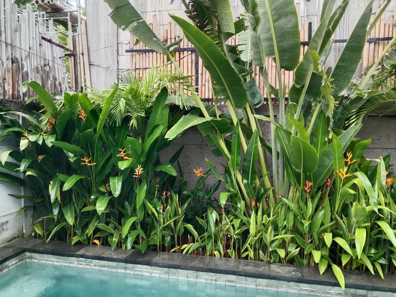 Charming 3-Bedroom Freehold Villa