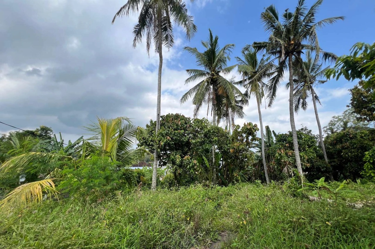 Freehold Land in Sudimara Tabanan