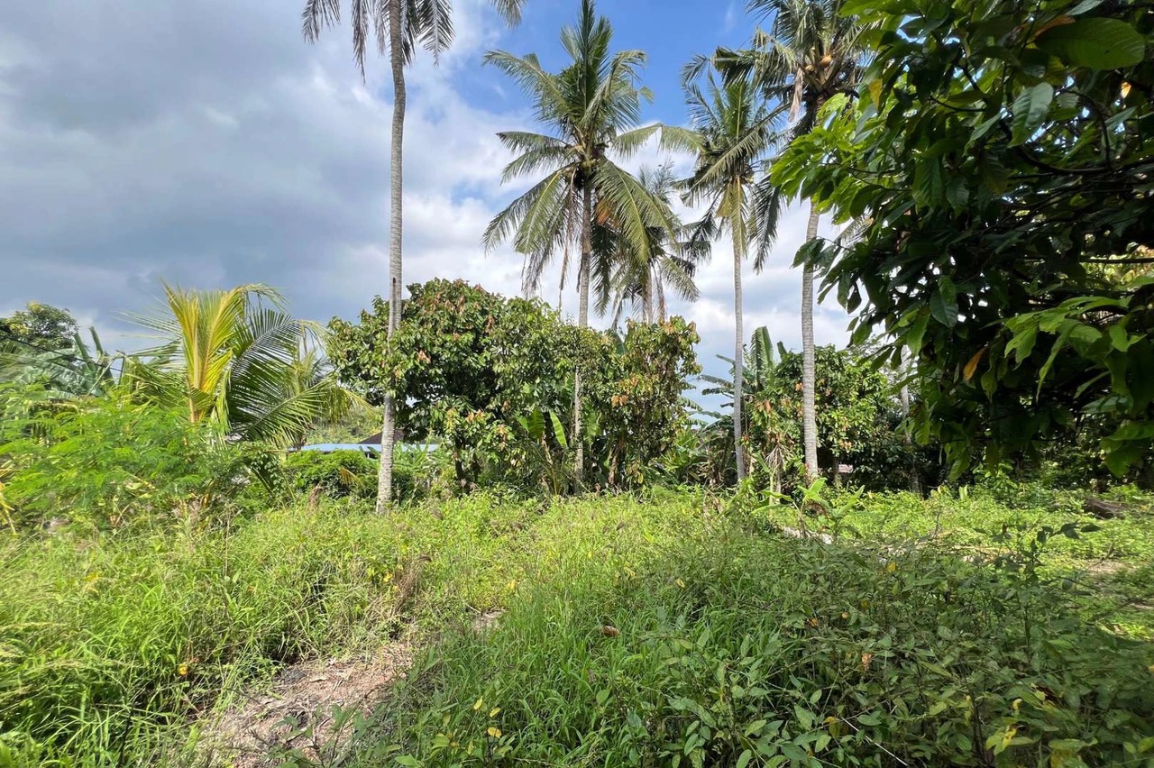 Freehold Land in Sudimara Tabanan