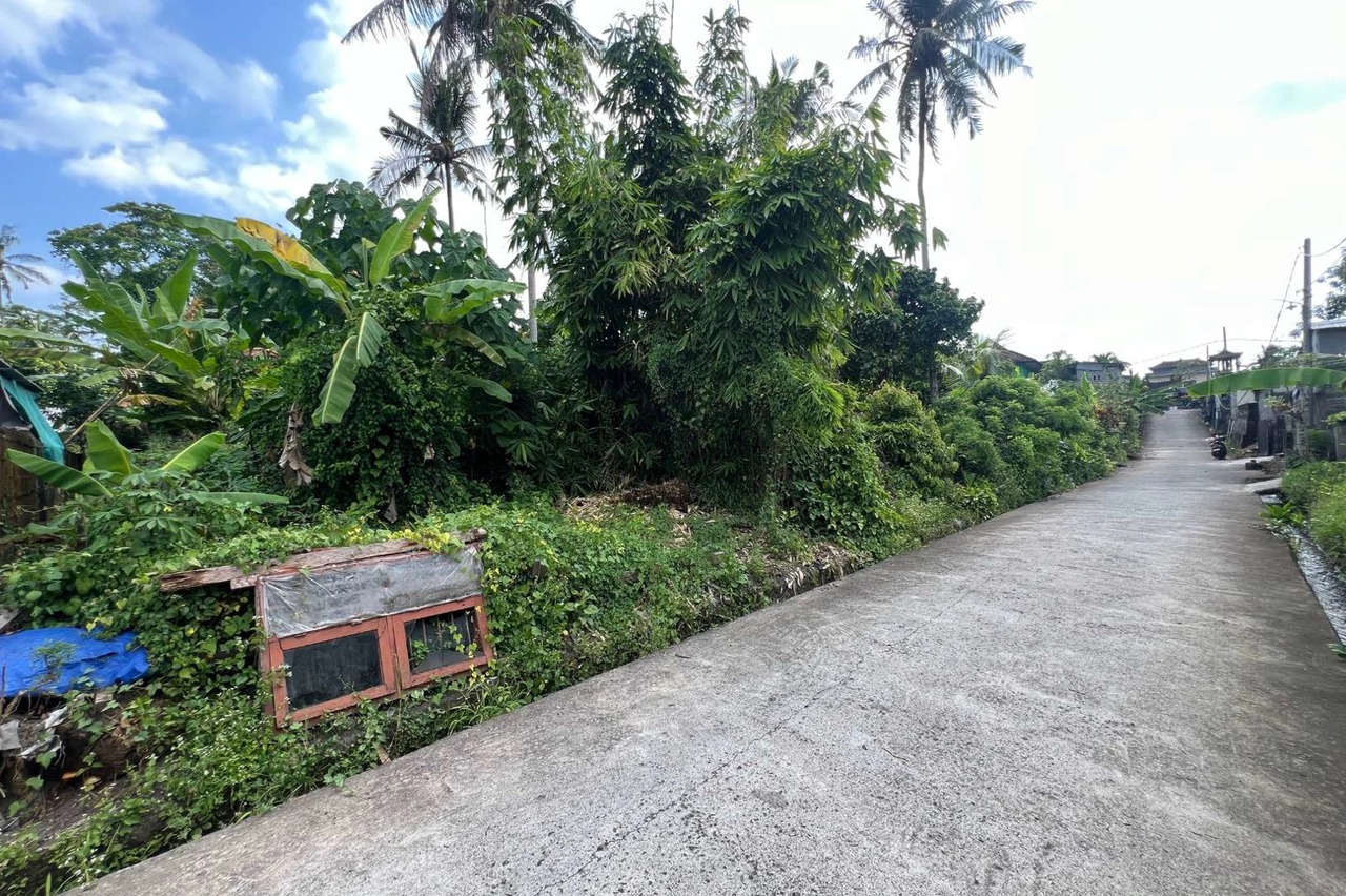 Freehold Land in Sudimara Tabanan