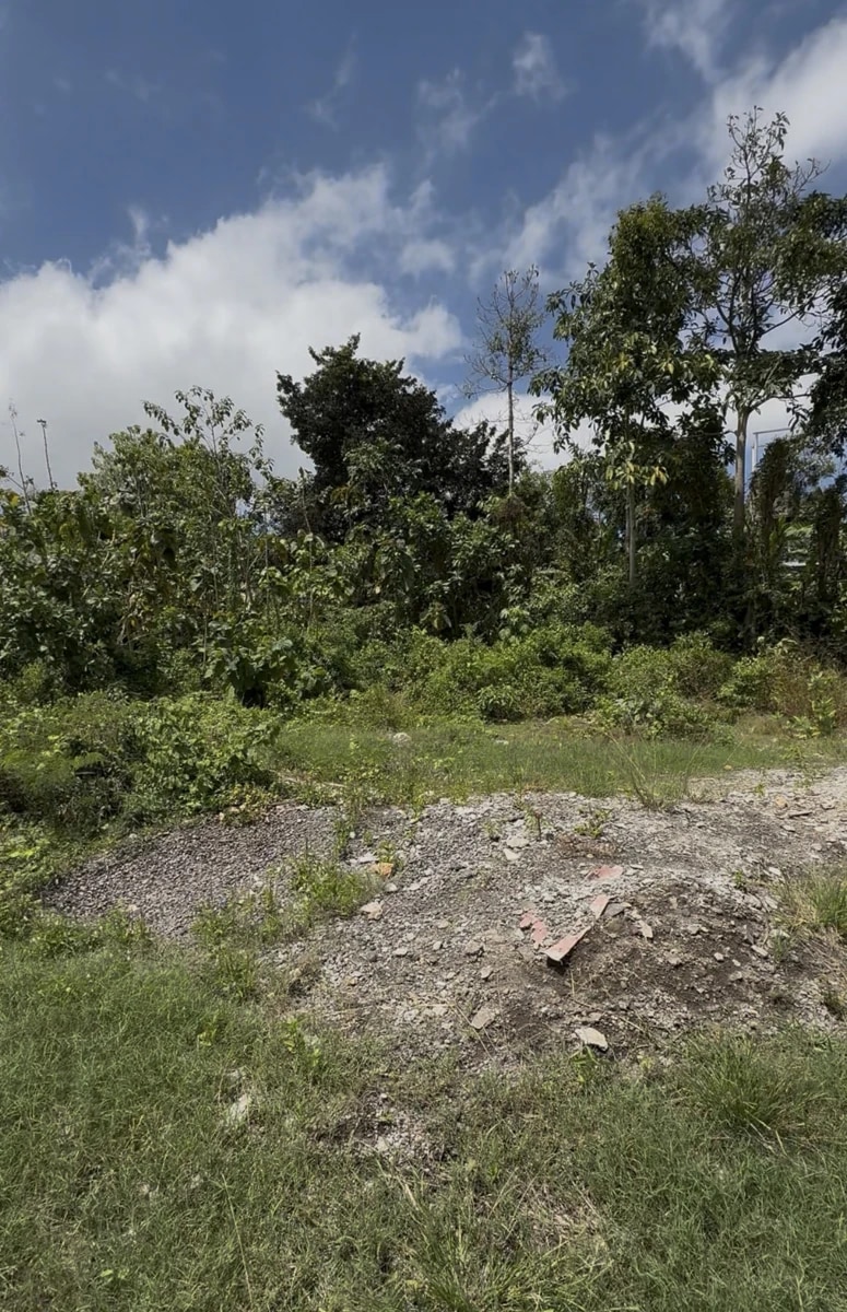 Bingin Pink Zone Land Opportunity