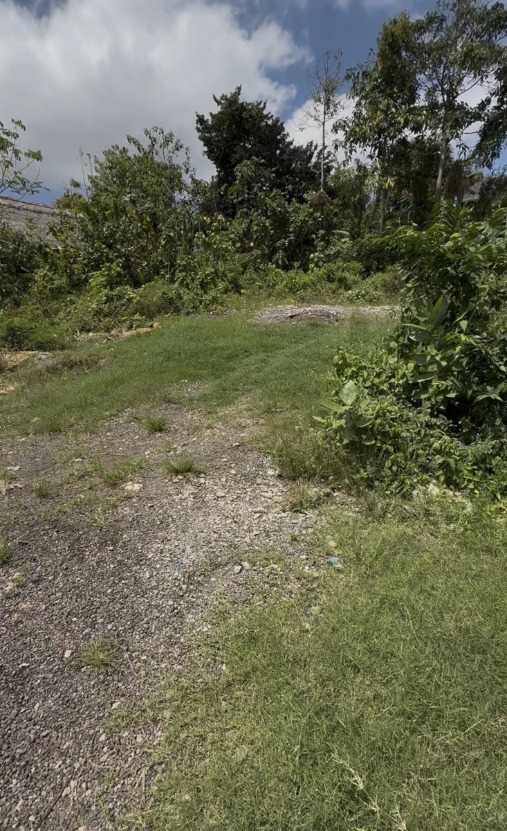 Bingin Pink Zone Land Opportunity