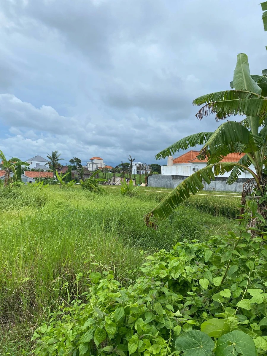 Land For Lease-Walking Distance To Beach