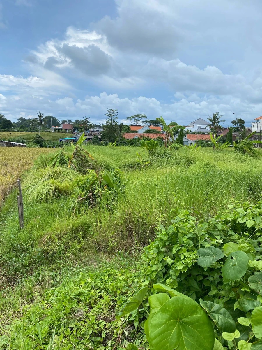 Land For Lease-Walking Distance To Beach