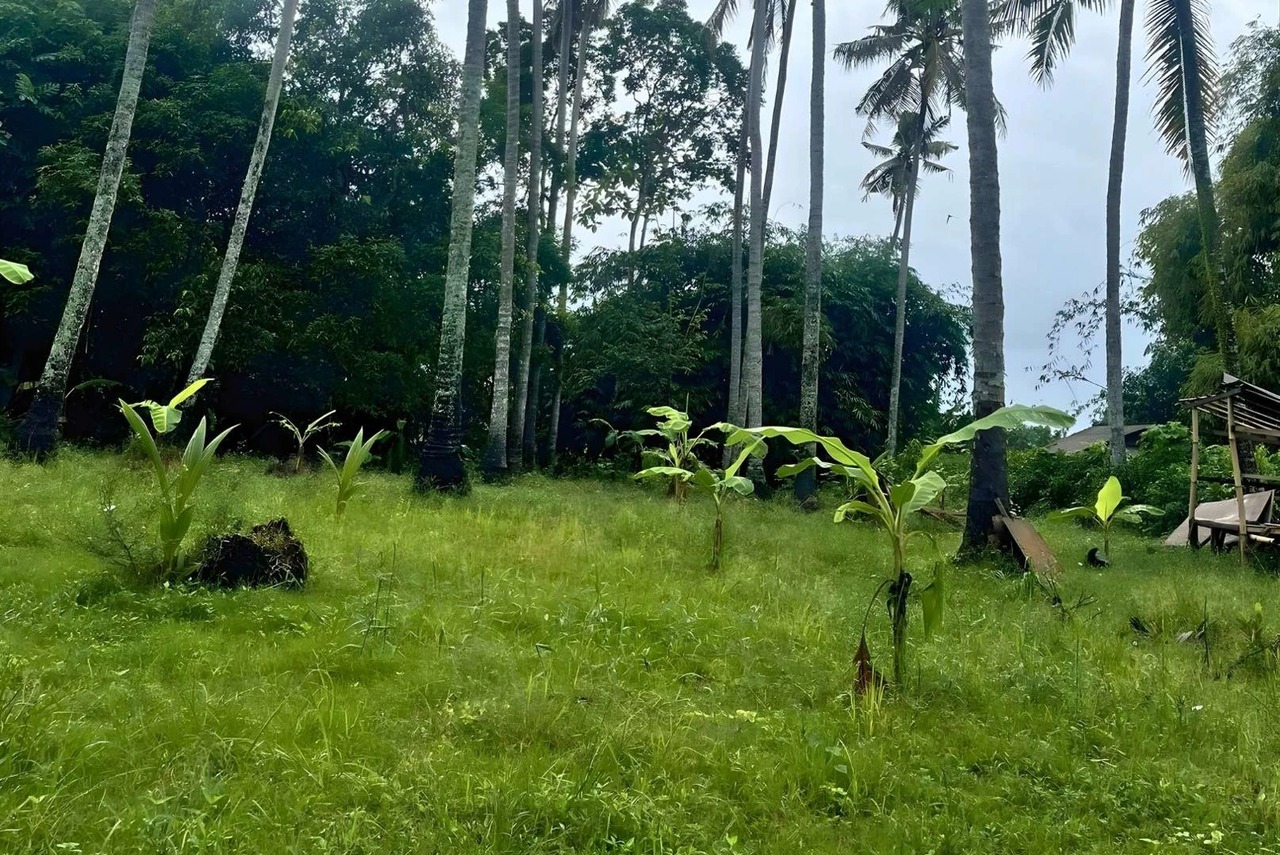 1,910 SQM Land for Lease in Batu Tampih