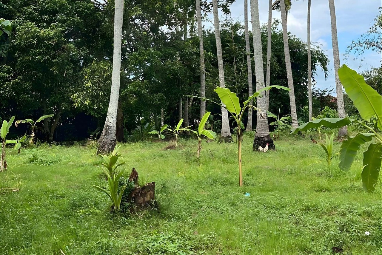 1,910 SQM Land for Lease in Batu Tampih