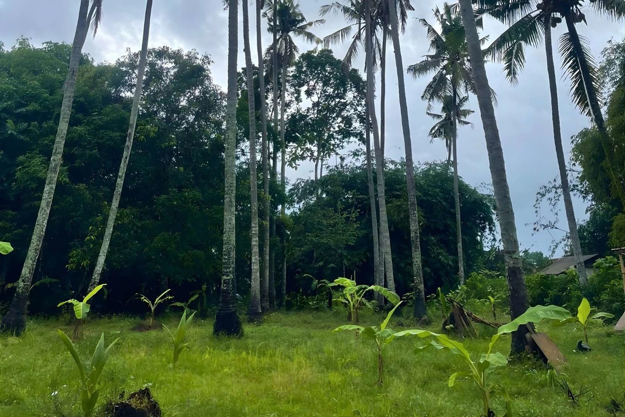 1,910 SQM Land for Lease in Batu Tampih