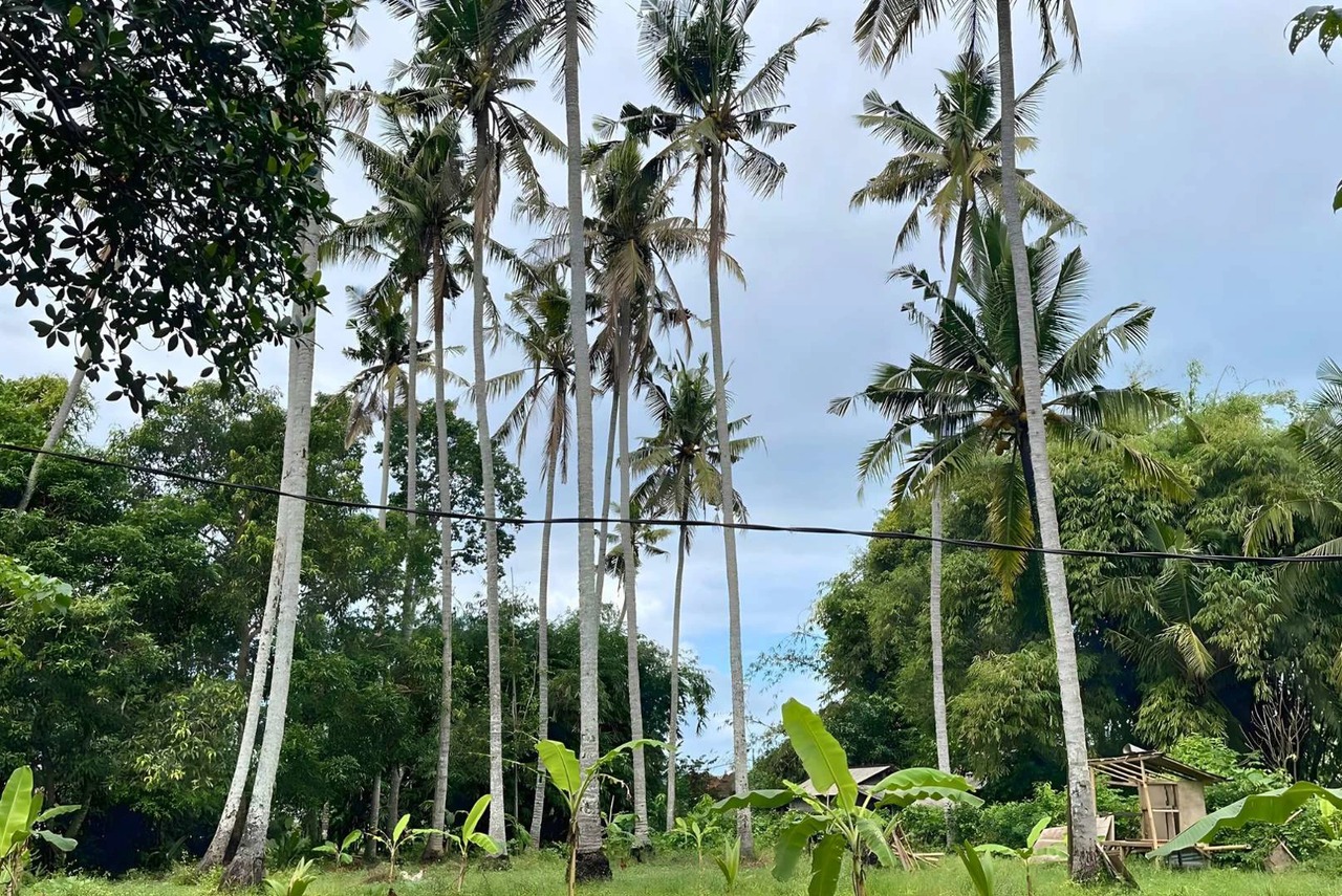 1,910 SQM Land for Lease in Batu Tampih