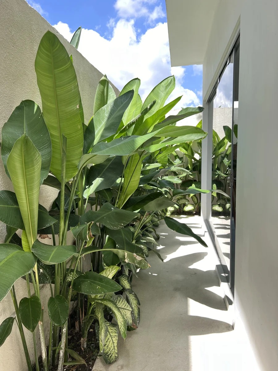 1BR POOL VILLA & ROOFTOP WITH FACILITIES