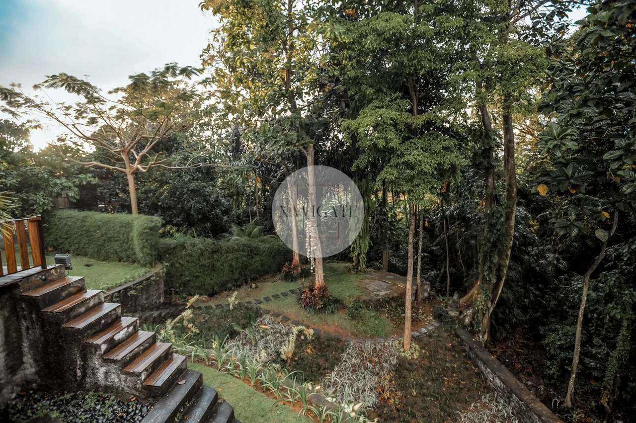 Villa Lui | 3-Br Jungle view Cepaka