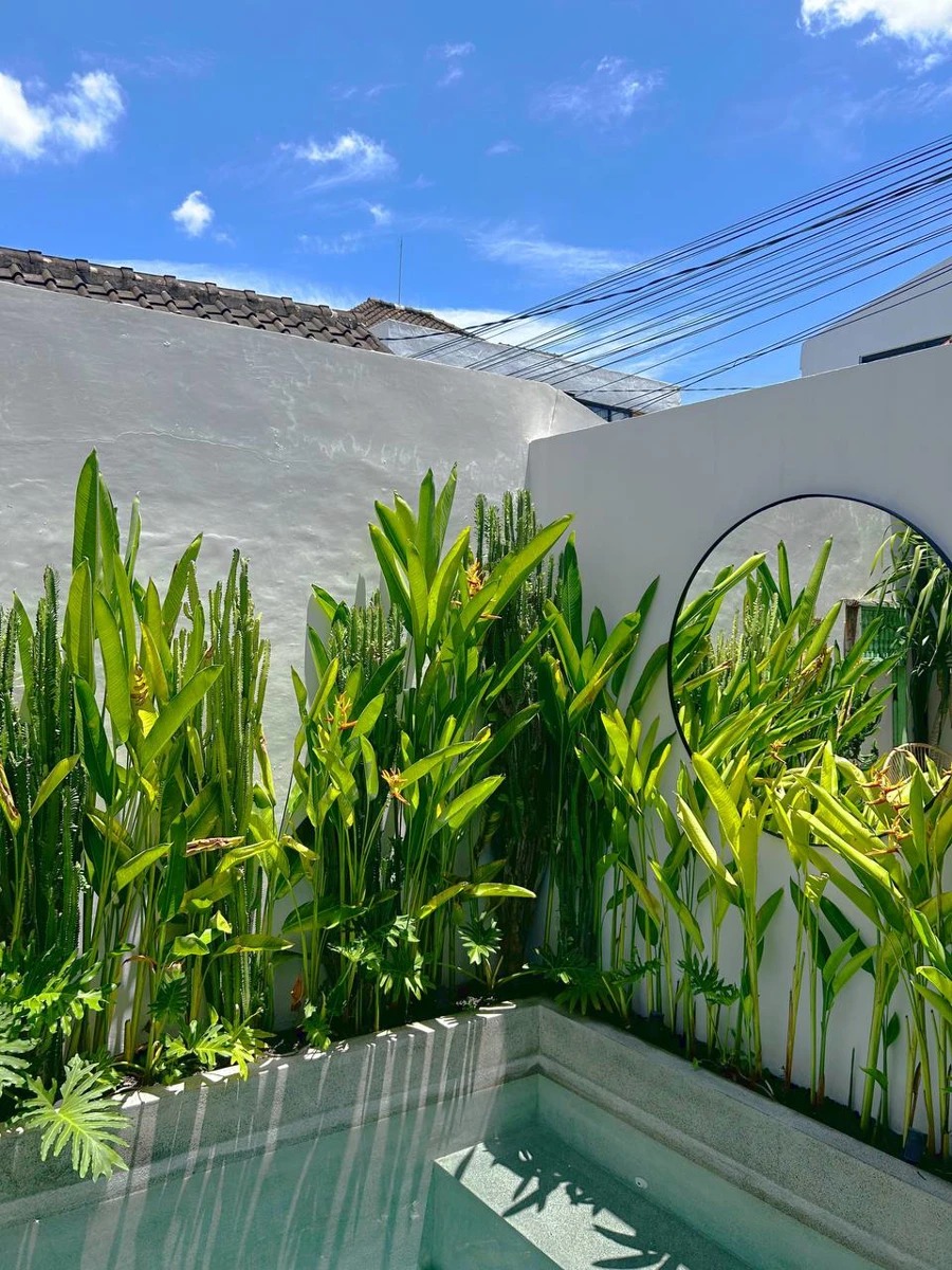 Modern 2 Beds Villa in Berawa Canggu
