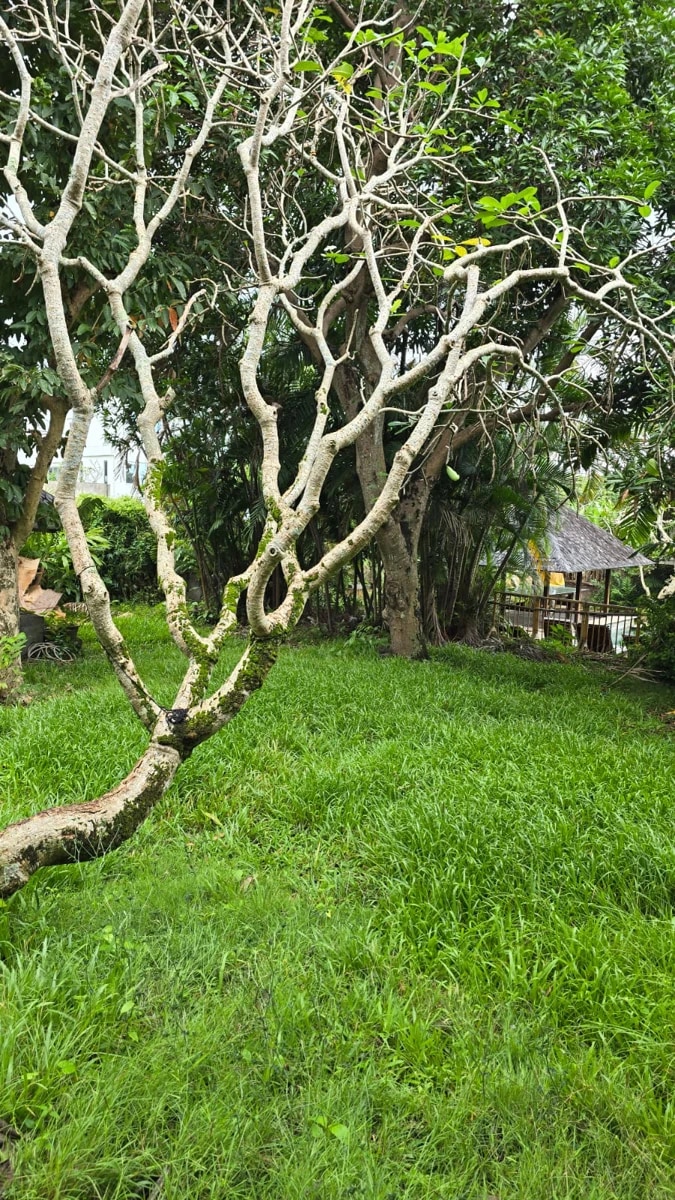 Land For Rent - Ready To Build Villa