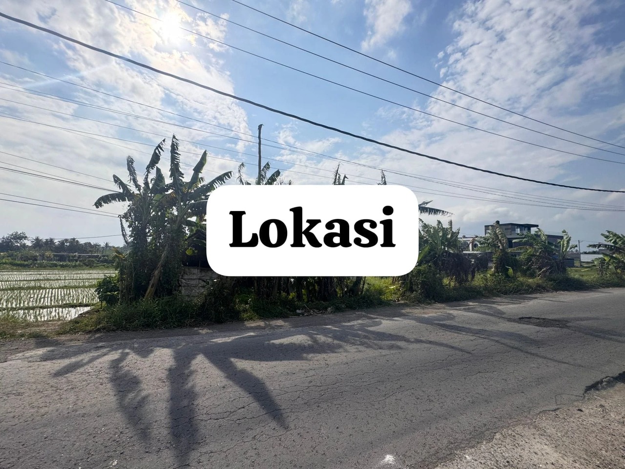 Land for Sale/Lease-Below Market Price!