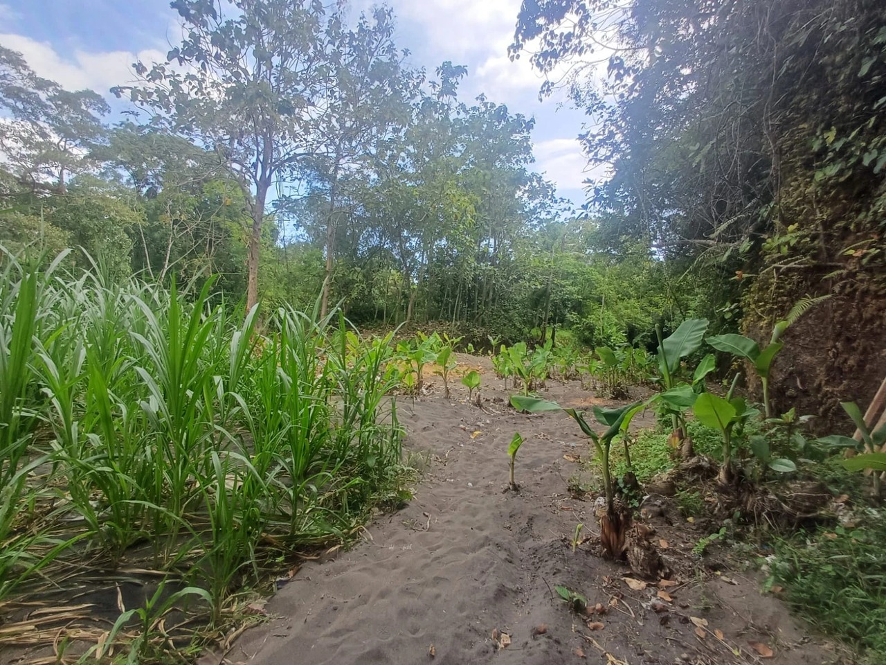 Premium Leasehold Land for Rent in Kaba-
