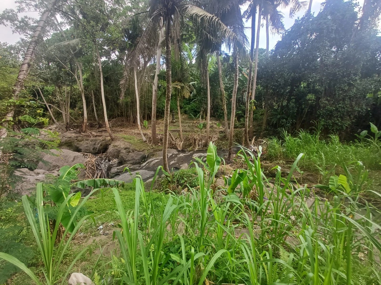 Premium Leasehold Land for Rent in Kaba-