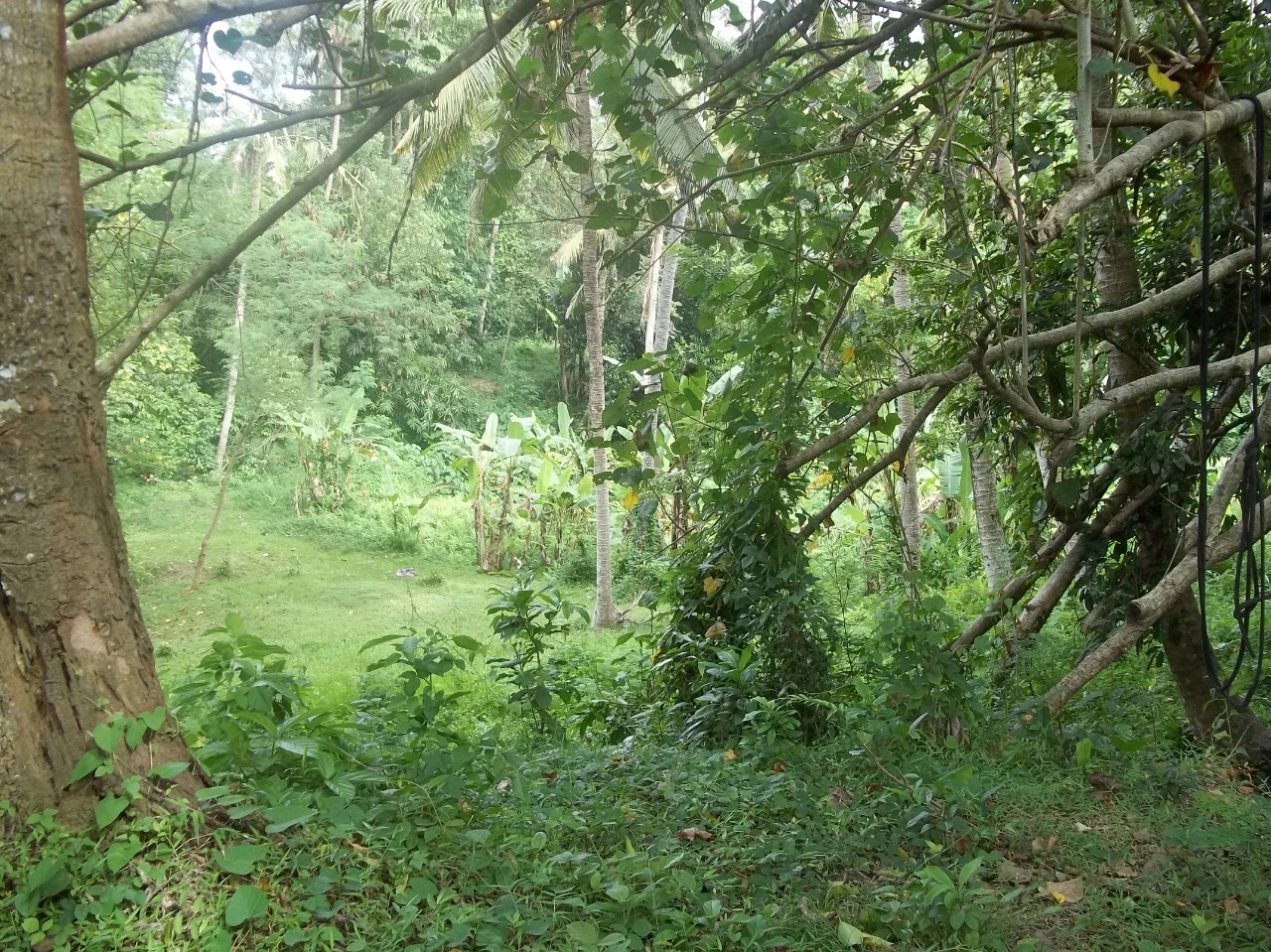 Rare Land for Sale w/ Unobstructed View