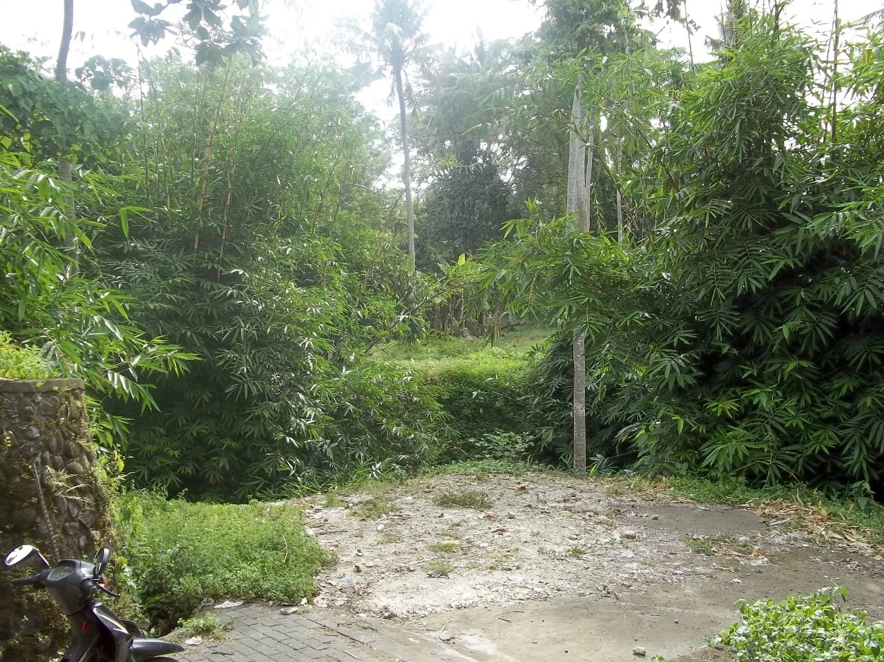 Rare Land for Sale w/ Unobstructed View