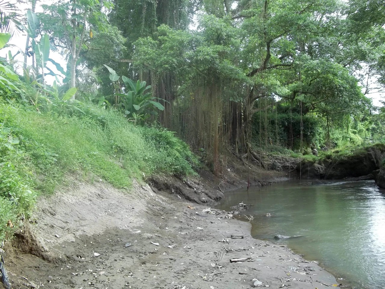Rare Land for Sale w/ Unobstructed View