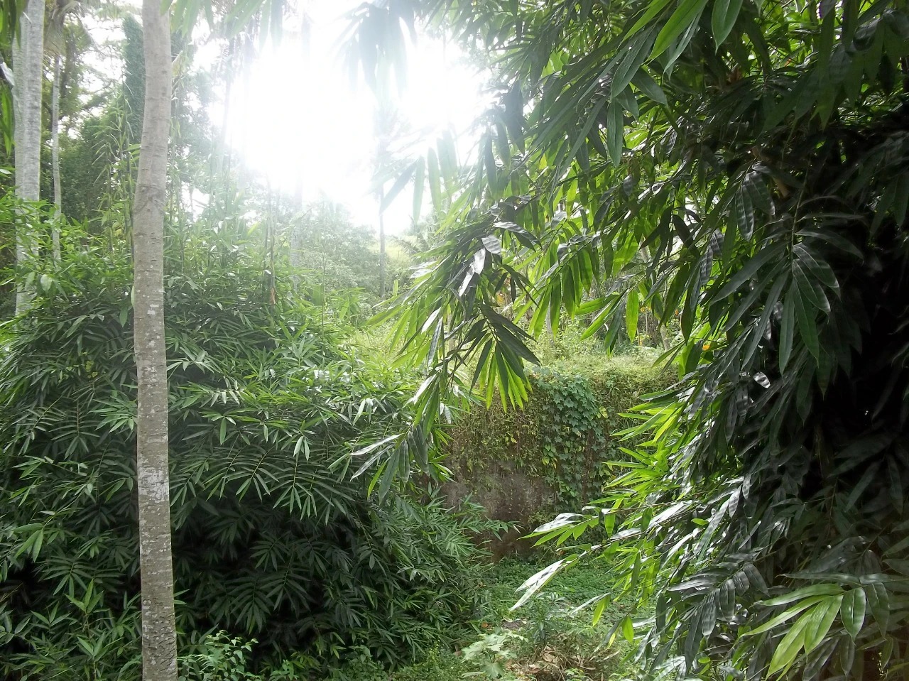 Rare Land for Sale w/ Unobstructed View