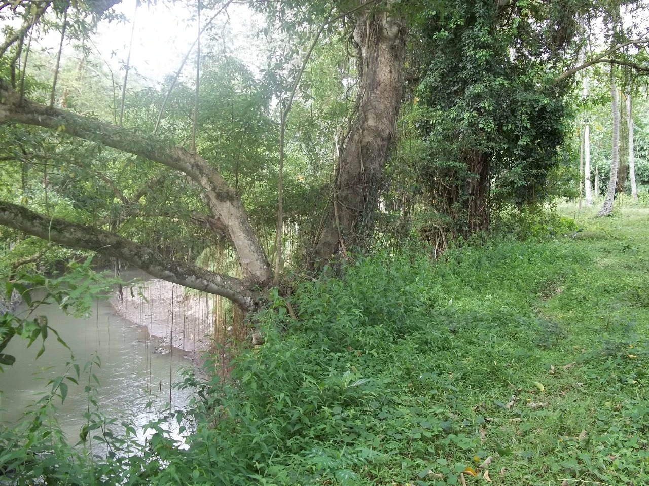 Rare Land for Sale w/ Unobstructed View