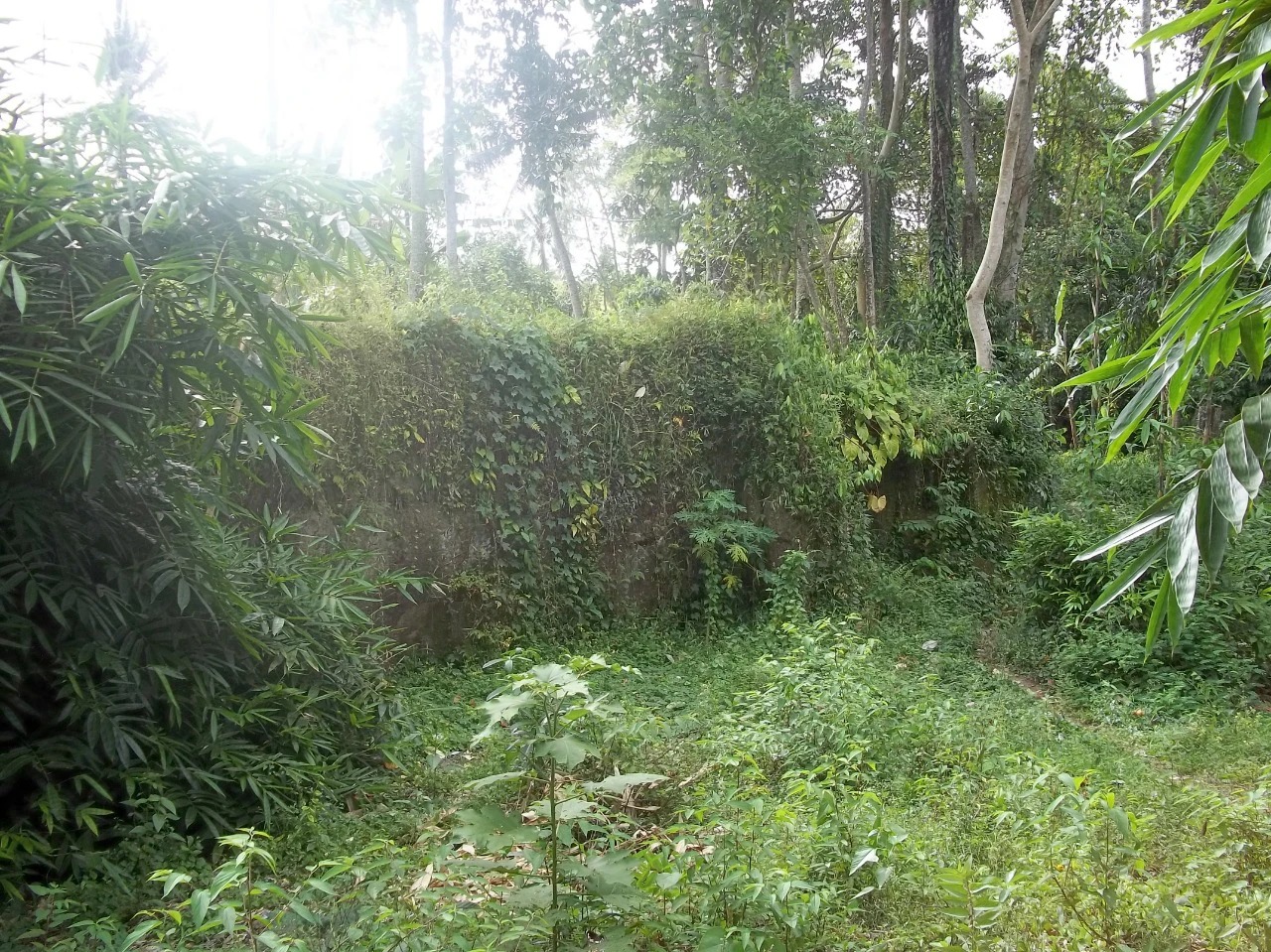 Rare Land for Sale w/ Unobstructed View