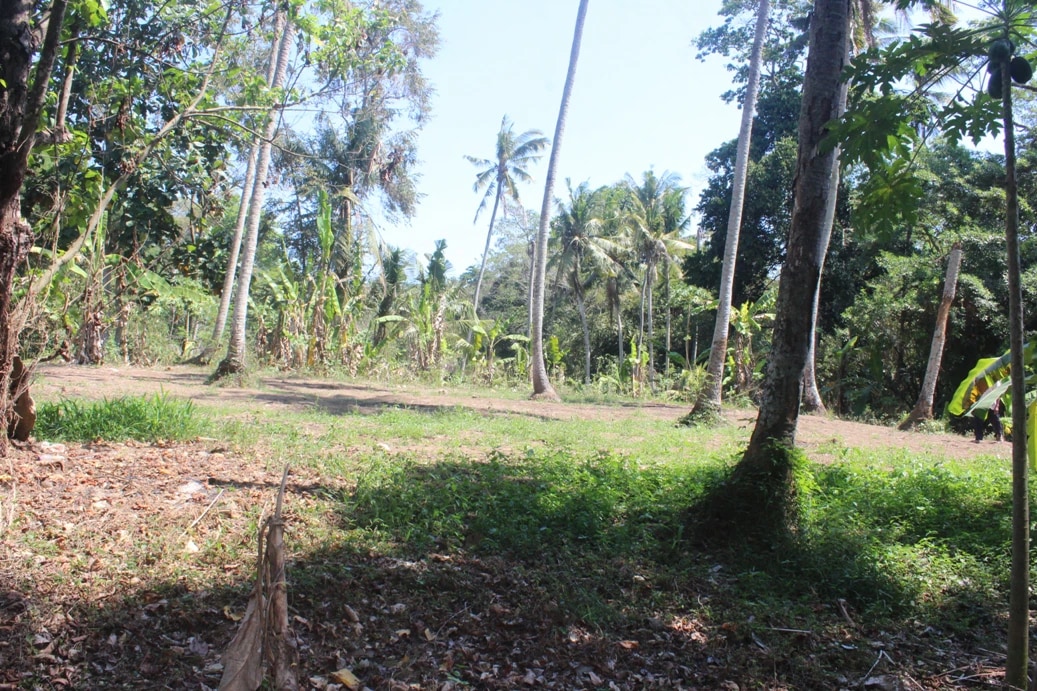 Rare Land for Sale w/ Unobstructed View