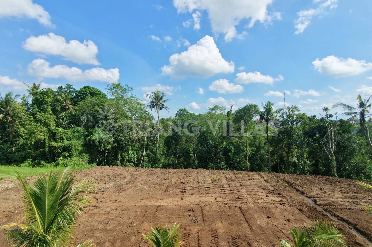 Splittable 32-Are Riverfront Land