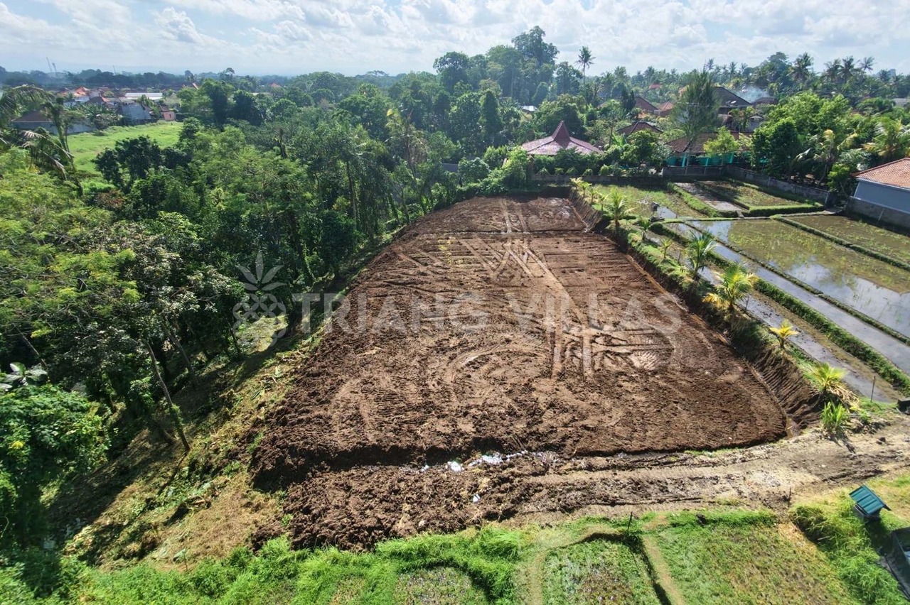 Splittable 32-Are Riverfront Land