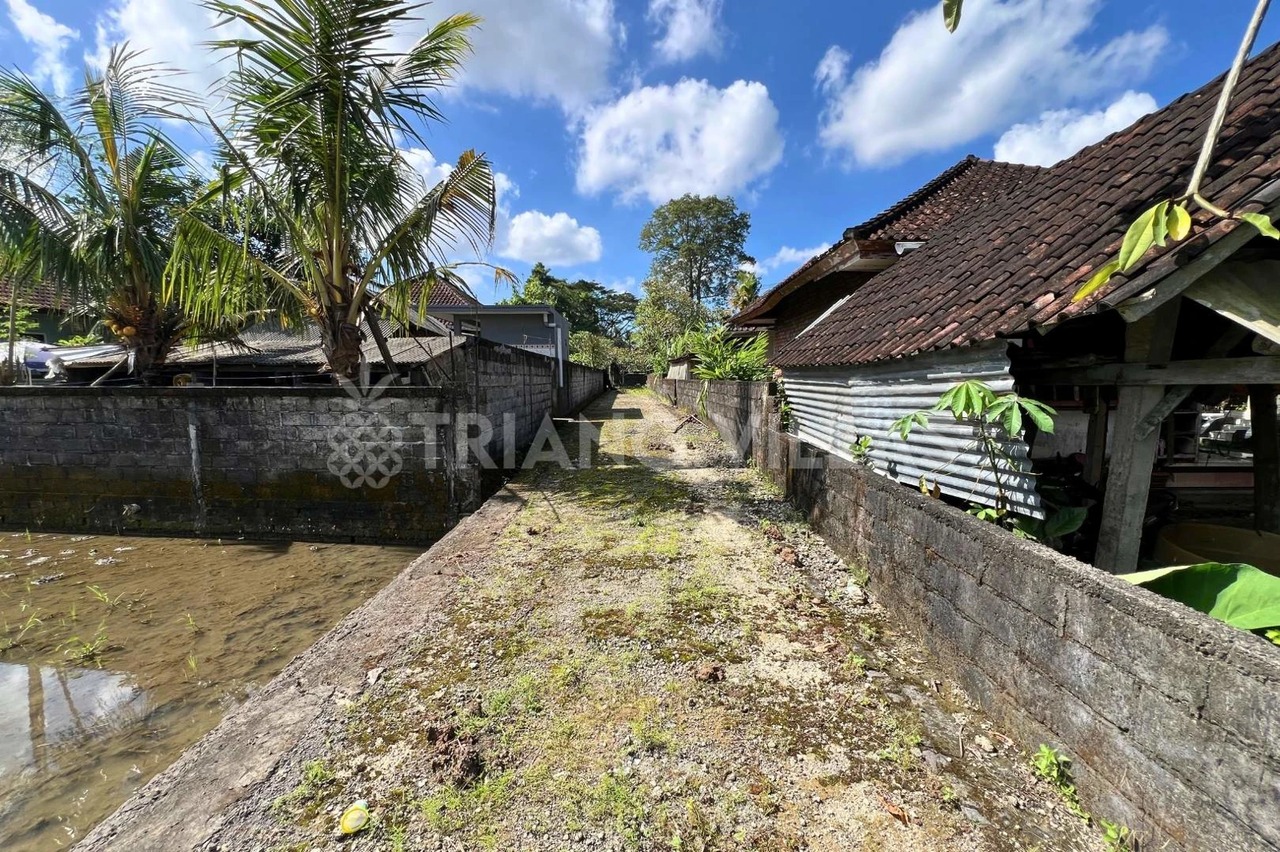 Splittable 32-Are Riverfront Land