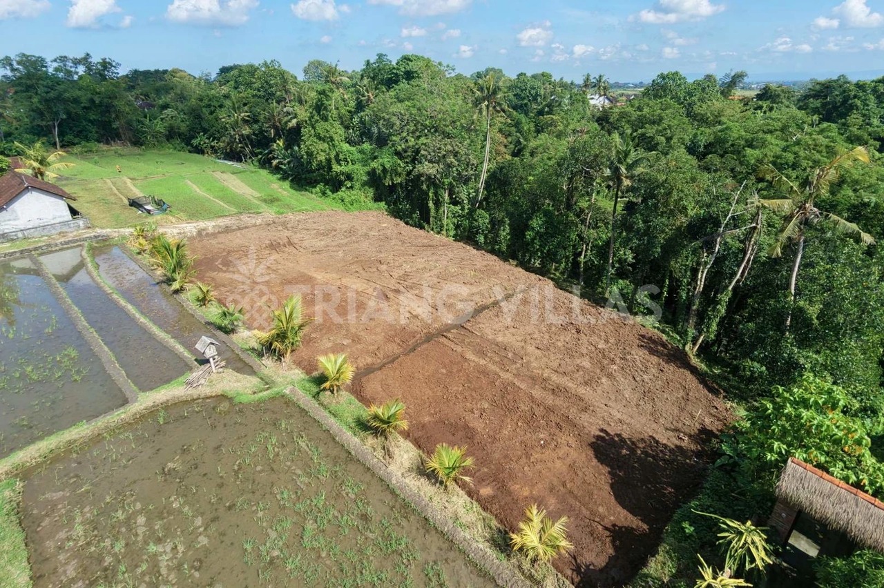 Splittable 32-Are Riverfront Land
