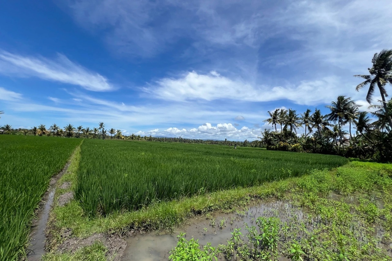Splittable 5,200 SQM Leasehold Land, Mou