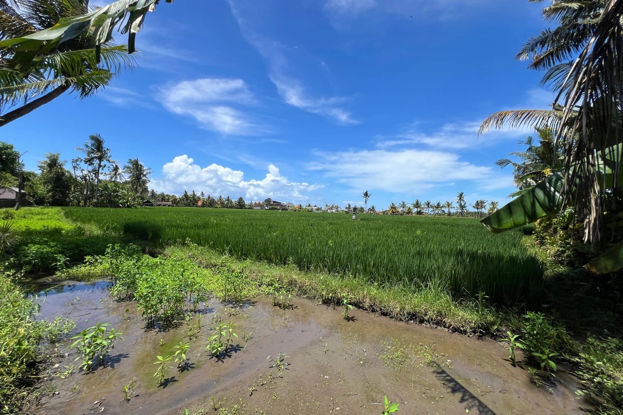 Splittable 5,200 SQM Leasehold Land, Mou
