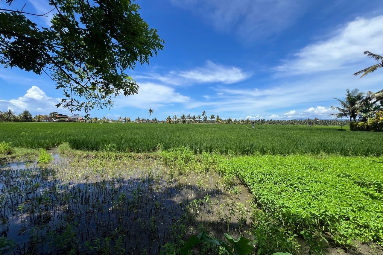 Splittable 5,200 SQM Leasehold Land, Mou