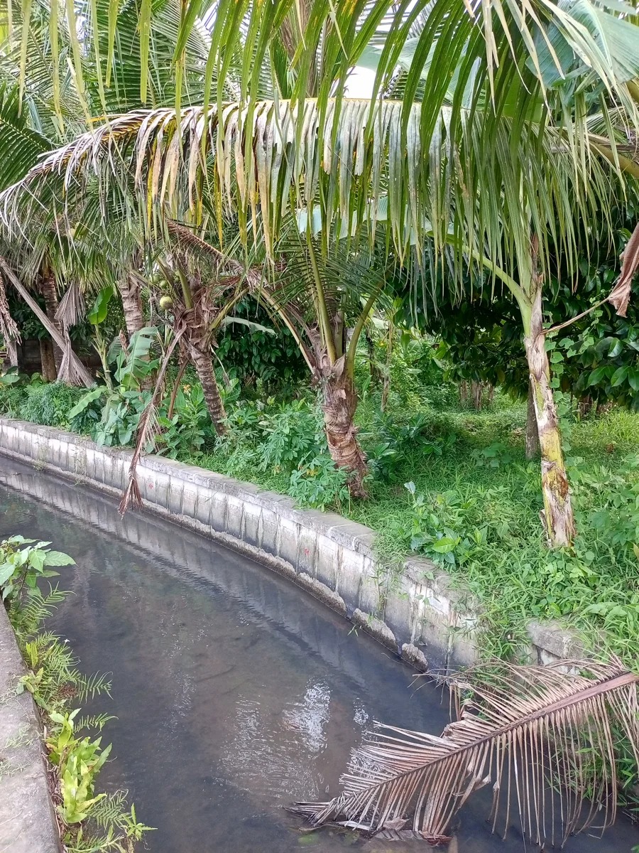 LEASEHOLD LAND 14 ARE IN KABA KABA 