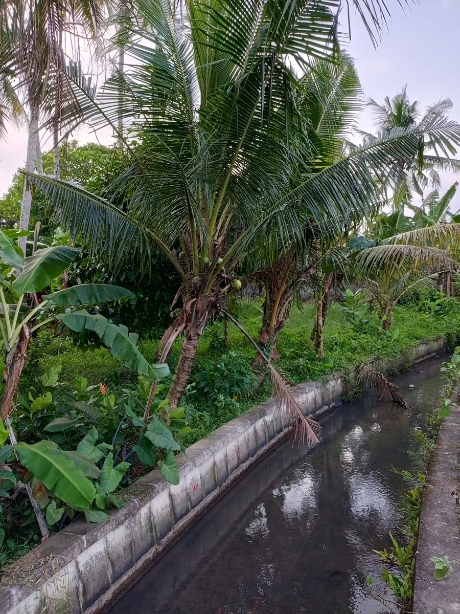 LEASEHOLD LAND 14 ARE IN KABA KABA 