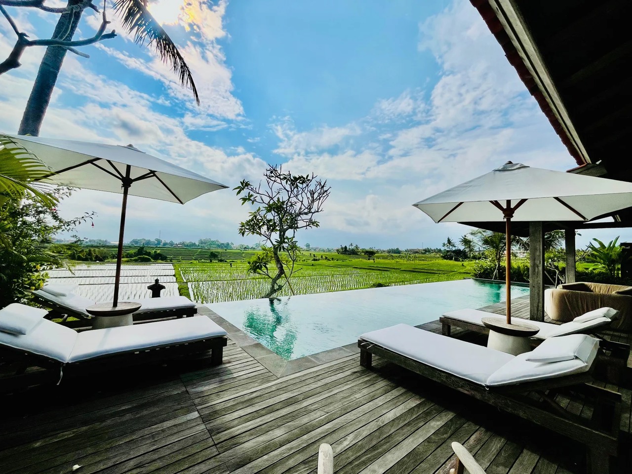DO 90 - VILLA FOR SALE IN TABANAN BALI