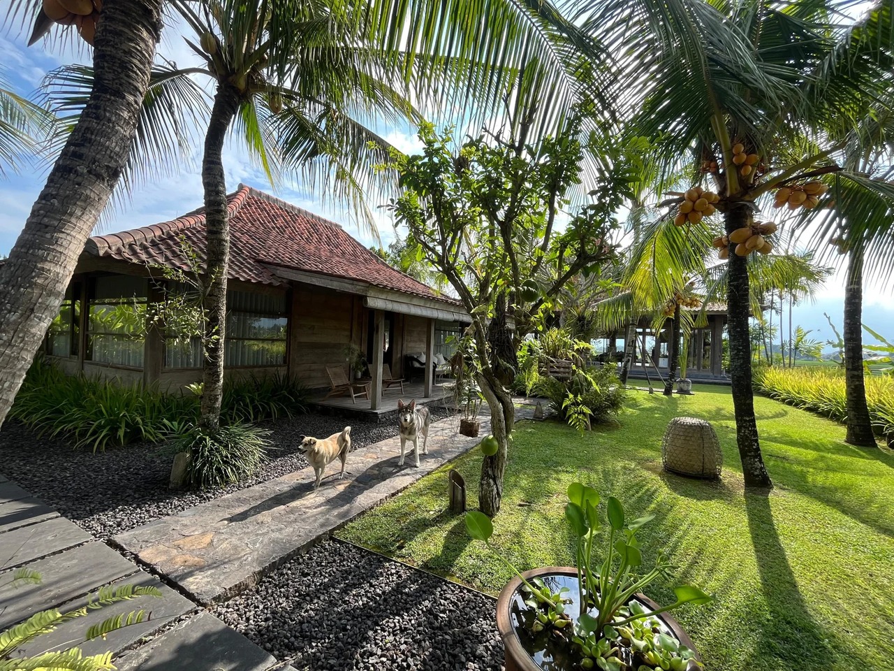 DO 90 - VILLA FOR SALE IN TABANAN BALI