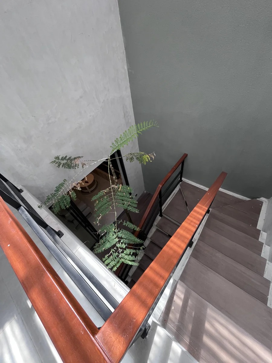 New Villa for Rent