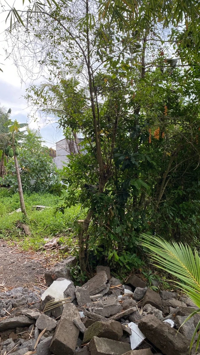 LEASEHOLD LAND 6 ARE IN KABA KABA