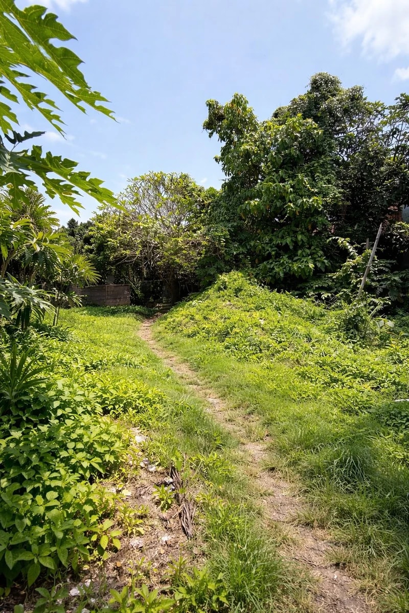 Bingin – Rare Pink Zone Land Opportunity